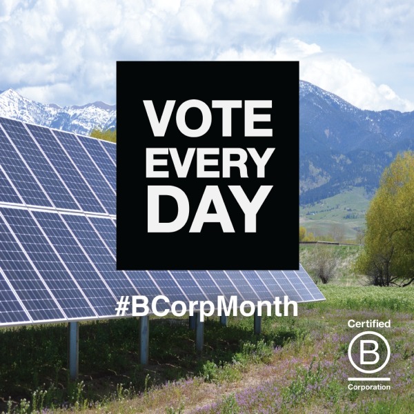 Vote your values by working with B Corps