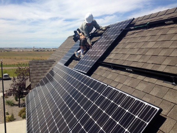 Installing panels on the roof of the animal shelter