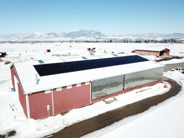 Solar array on the Equestrian Center arena